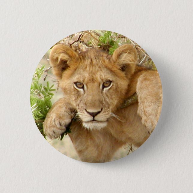 Lion Cub ROUND Button (Front)