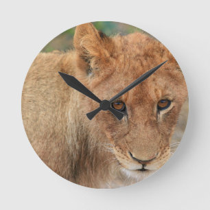 Lion Cub Round Clock