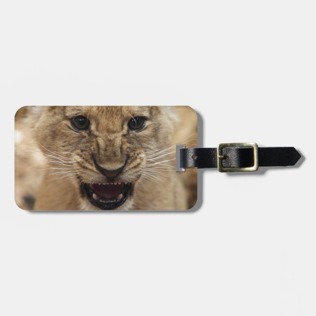 Lion cub snarling luggage tag (Front Horizontal)