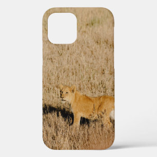 LION CUB WAITING FOR HIS MOTHER iPhone 12 CASE