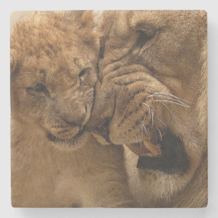 Lion cub with dad stone coaster