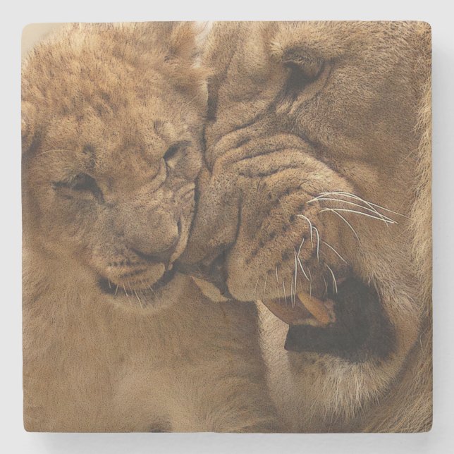 Lion cub with dad stone coaster (Front)