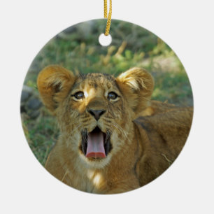 Lion Cub Yawn Ceramic Tree Decoration
