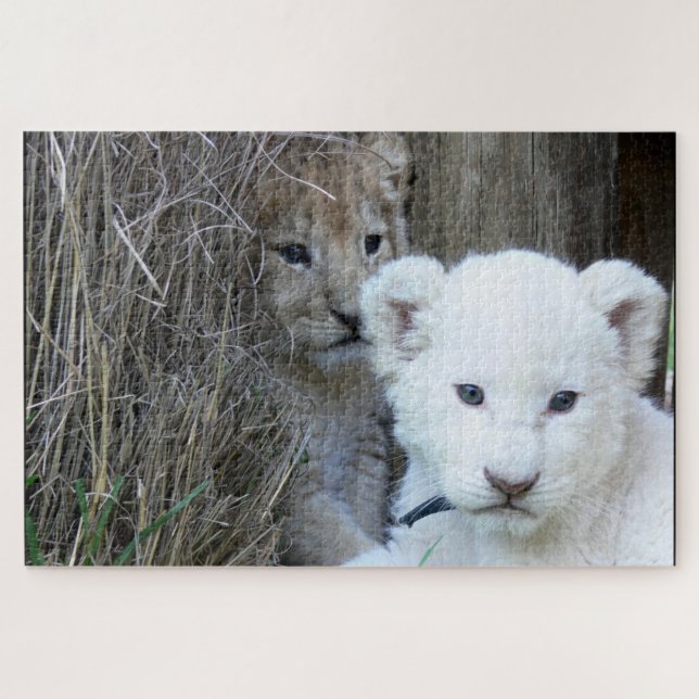 Lion Cubs Jigsaw Puzzle (Horizontal)