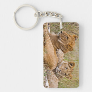 Lion Cubs Lounging Key Ring