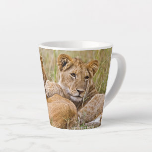 Lion Cubs Lounging Latte Mug