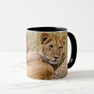 Lion Cubs Lounging Mug