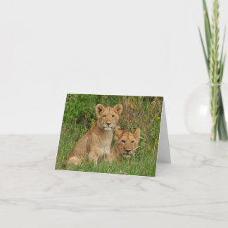 Lion Cubs Note Cards