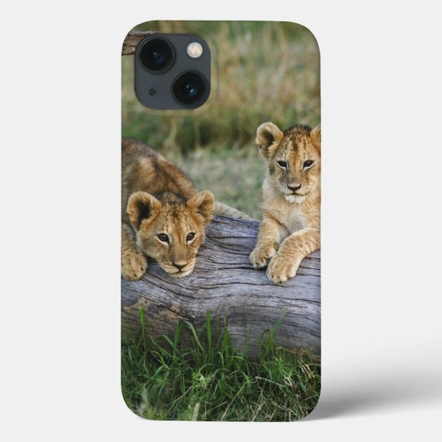Lion Cubs on Log Case-Mate iPhone Case (Back)