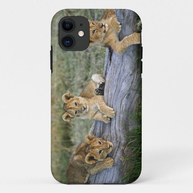 Lion Cubs on Log Case-Mate iPhone Case (Back)