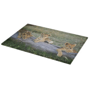 Lion Cubs on Log Cutting Board