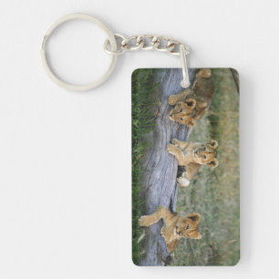 Lion Cubs on Log Key Ring