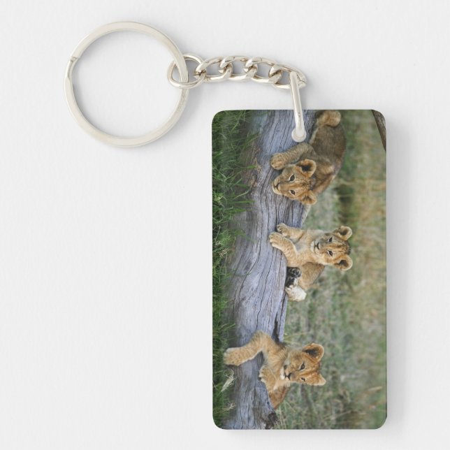 Lion Cubs on Log Key Ring (Front)