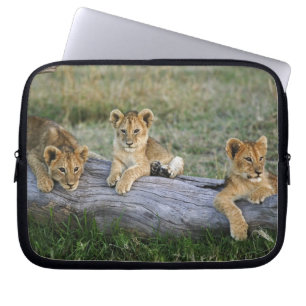 Lion Cubs on Log Laptop Sleeve