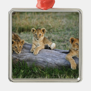 Lion Cubs on Log Metal Tree Decoration