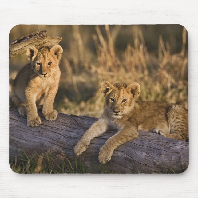 Lion Cubs on Log Mouse Pad (Front)