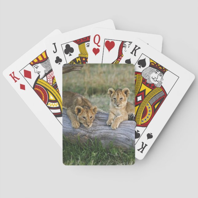 Lion Cubs on Log Playing Cards (Back)