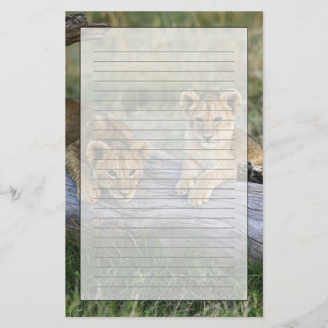 Lion Cubs on Log Stationery (Front)
