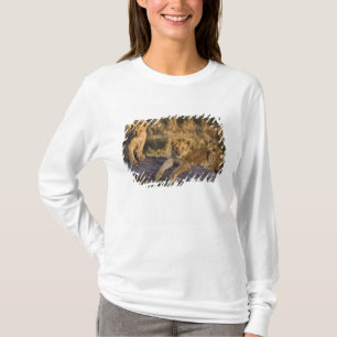 Lion Cubs on Log T-Shirt