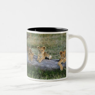 Lion Cubs on Log Two-Tone Coffee Mug