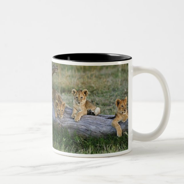 Lion Cubs on Log Two-Tone Coffee Mug (Right)