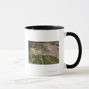 Lion Cubs Peeking Over Rock Mug