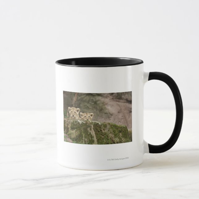Lion Cubs Peeking Over Rock Mug (Right)