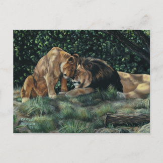Lion Cuddle Postcard