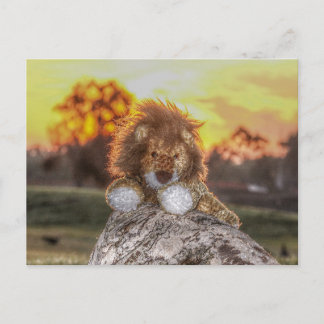 Lion Doll at Sunrise Postcard