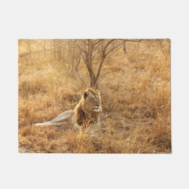 Lion Doormat (Front)