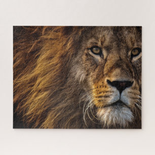 Lion Face Closeup Photo Jigsaw Puzzle