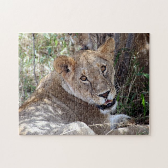 lion face jigsaw puzzle (Horizontal)
