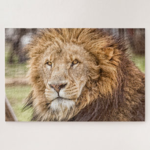 Lion Face Puzzle Large