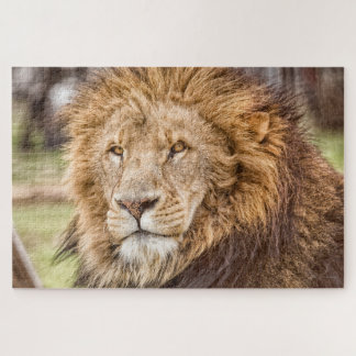 Lion Face Puzzle Large