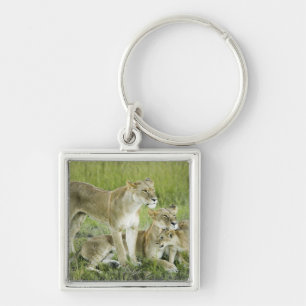 Lion family in Kenya, Africa Key Ring