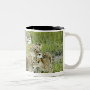 Lion family in Kenya, Africa Two-Tone Coffee Mug