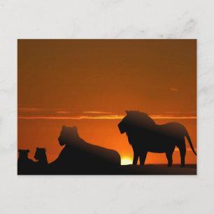 lion family postcard