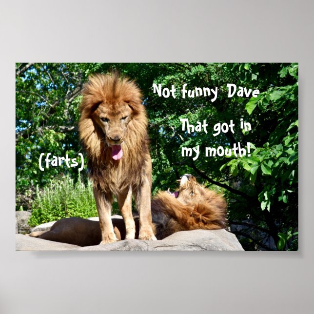 Lion farts poster (Front)