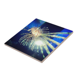 Lion fish ceramic tile