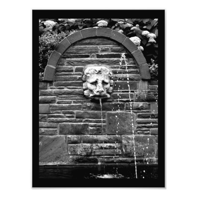 Lion Fountain Photo Print (Front)