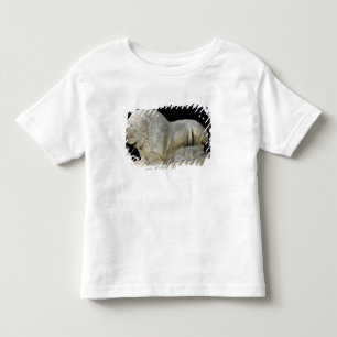 Lion from Miletus Toddler T-Shirt