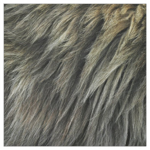 Lion Fur Fabric