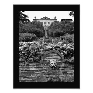 Lion Garden Photo Print