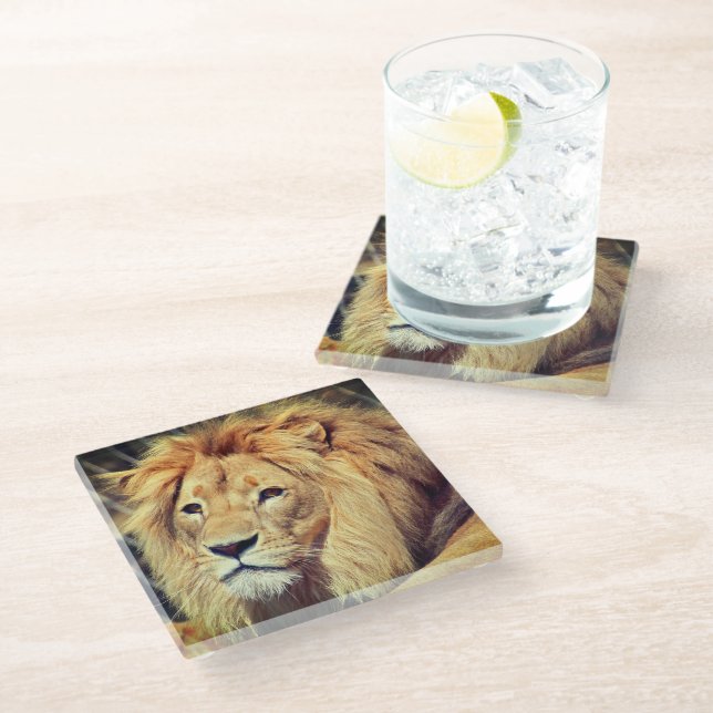 Lion Glass Coaster (Angled)