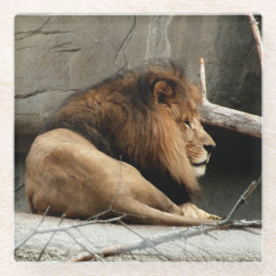 Lion Glass Coaster