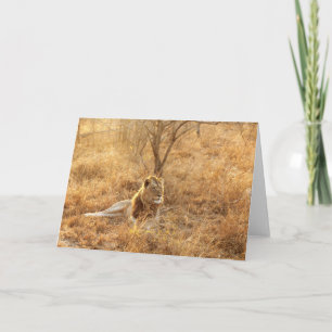 Lion Greeting Card