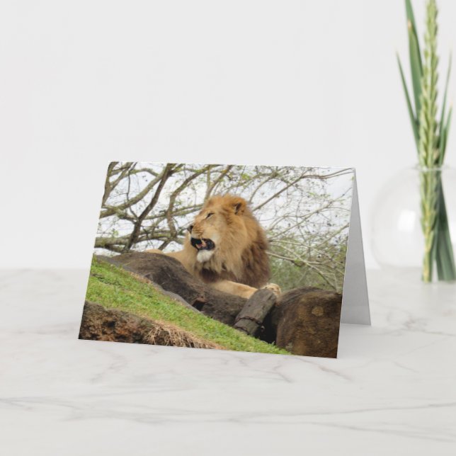 Lion Greeting Card (0356) (Front)
