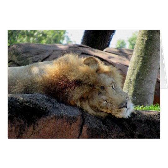Lion Greeting Card (1273)