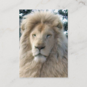 Lion Head business card white chubby