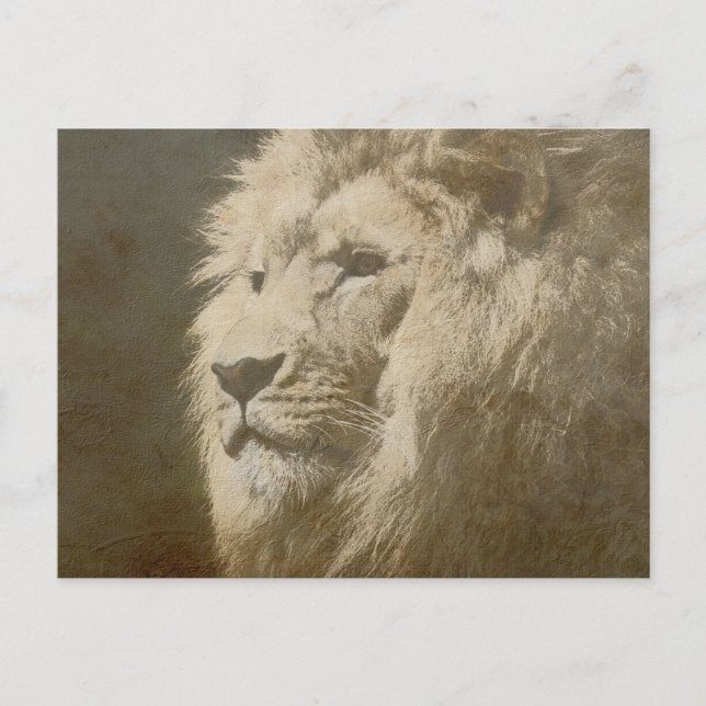 Lion Head The King Modern Pop Art Template Postcard (Front)